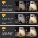 Solar Motion Barn Wall Lights with 3 Modes & Gooseneck