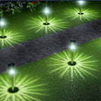 Atmospheric Garden Lighting on Solar Energy - SolarAura