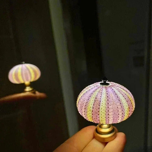 DIY Sea Urchin Night Light – LumiUrchin Natural Shell Lamp in a kids bedroom