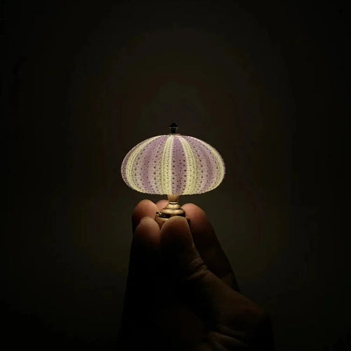 DIY Sea Urchin Night Light – LumiUrchin Natural Shell Lamp