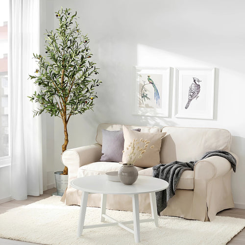 Artificial Olive Tree in Pot in 5ft-1pc in a living room