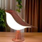 Stylish Lighting and Aromatherapy in One - AeroLight